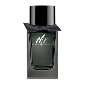 Burberry Mr Burberry For Men Edp Spray 100 Ml-Perfume